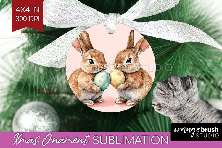 Rabbit Png Image 12