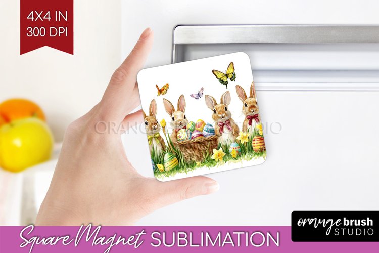 Rabbit Png Image 3