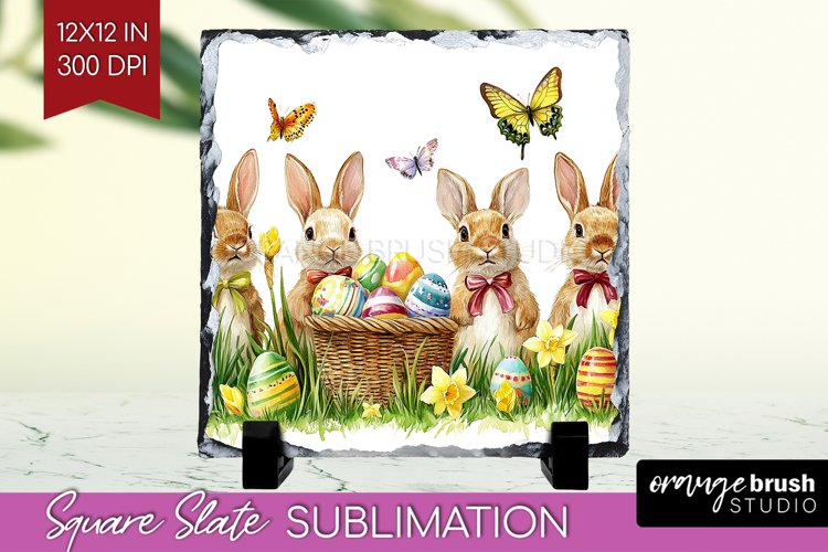 Rabbit Png Image 16