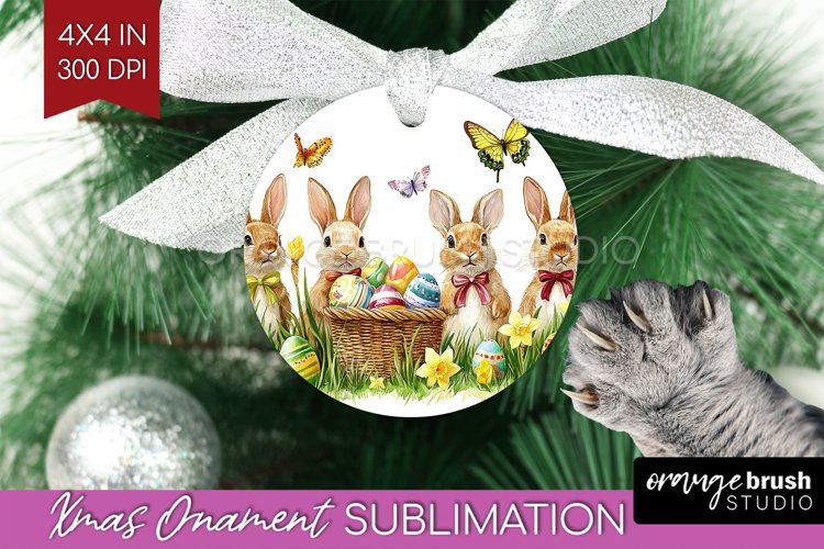 Rabbit Png Image 11