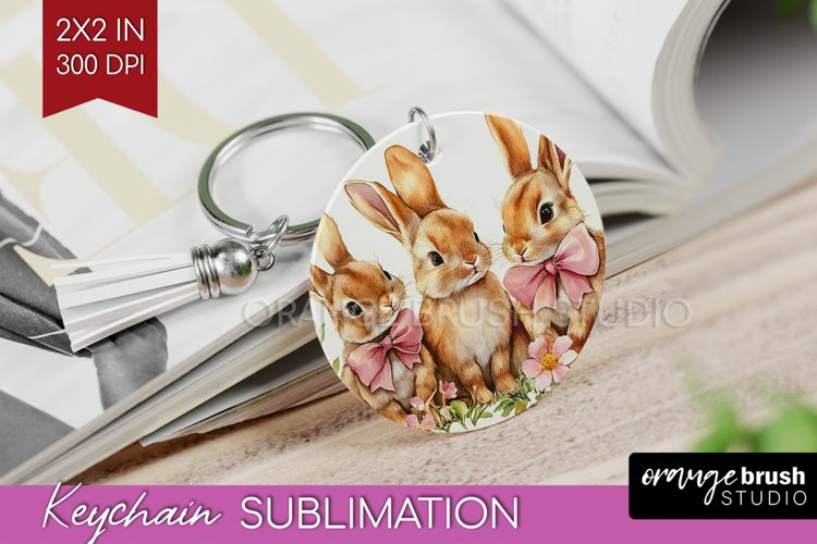 Rabbit Png Image 23