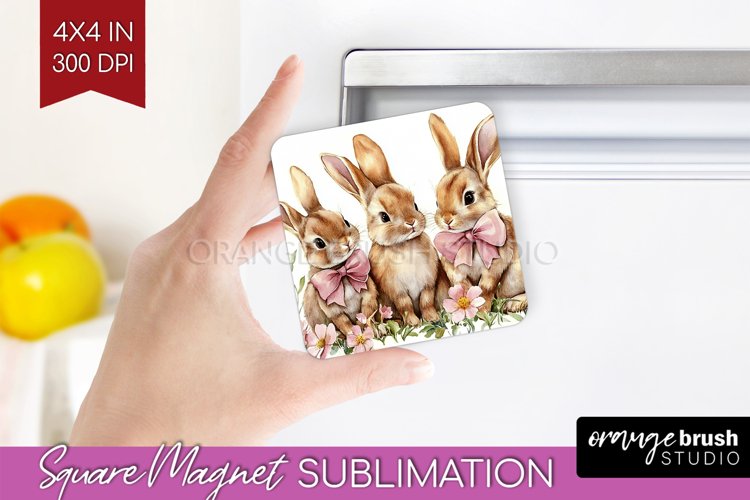 Rabbit Png Image 2