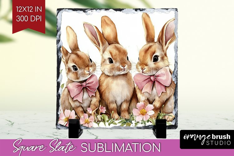 Rabbit Png Image 15