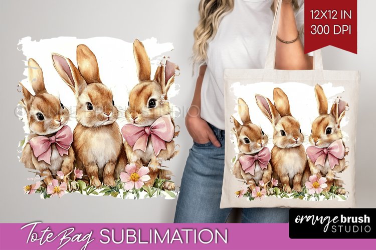 Rabbit Png Image 14
