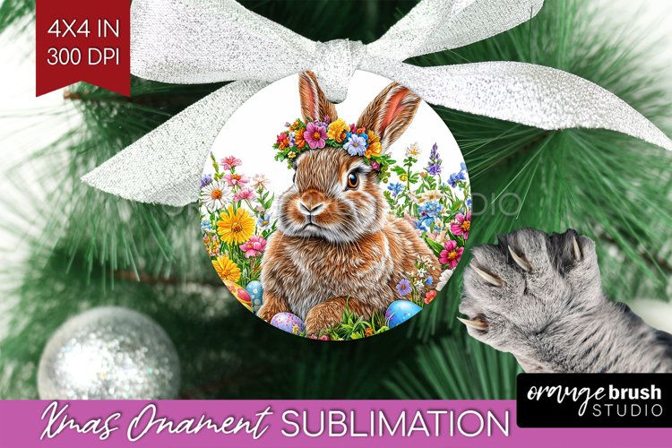 Rabbit Png Image 9
