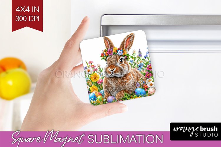 Rabbit Png