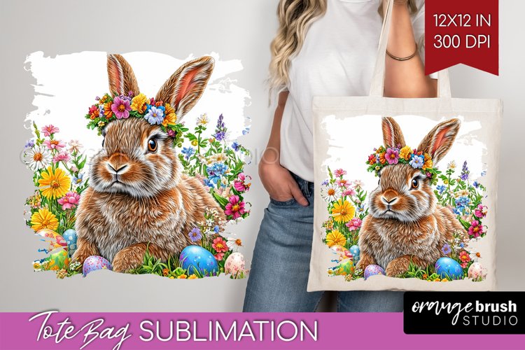 Rabbit Png Image 13