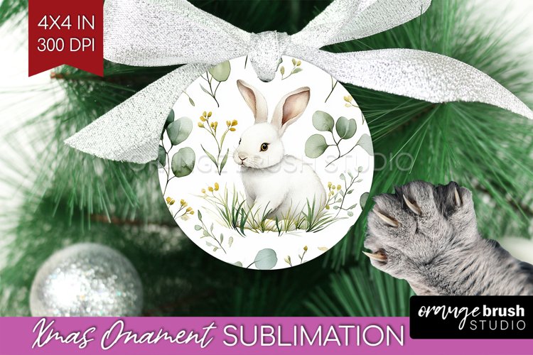 Rabbit Png Image 8