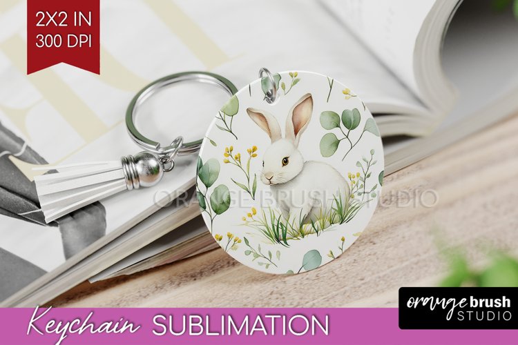 Rabbit Png Image 21