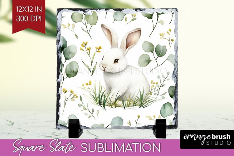 Rabbit Png Image 13