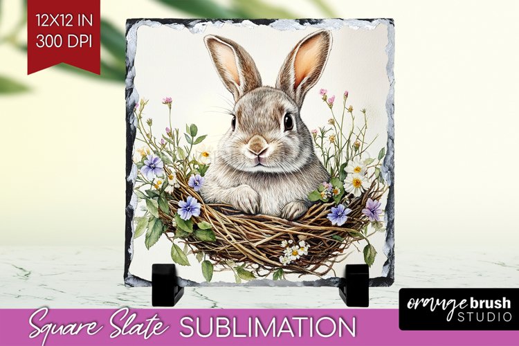 Rabbit Png Image 11