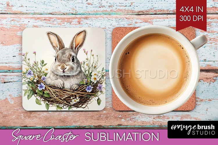 Rabbit Png Image 3