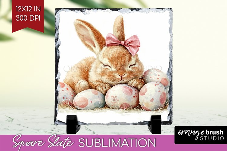 Rabbit Png Image 10