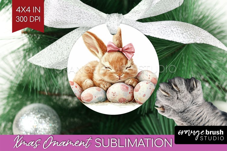Rabbit Png Image 5