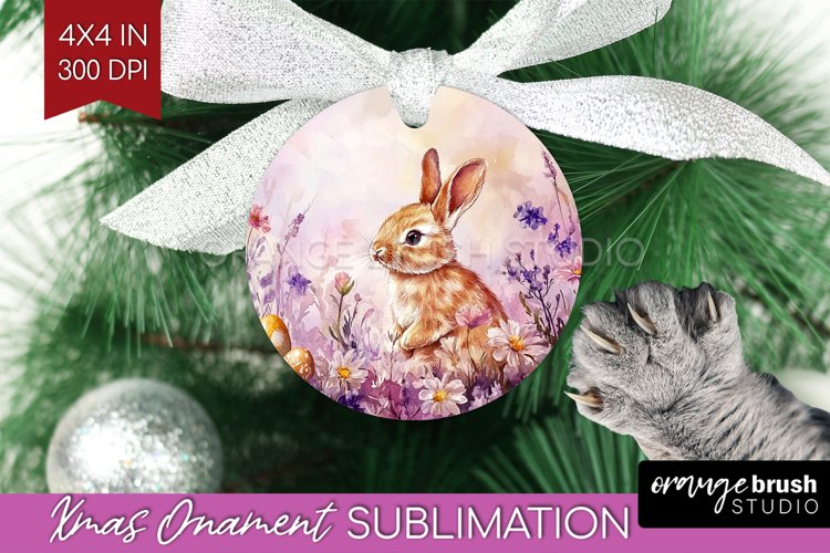 Rabbit Png Image 4