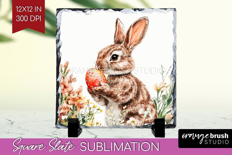 Rabbit Png Image 7