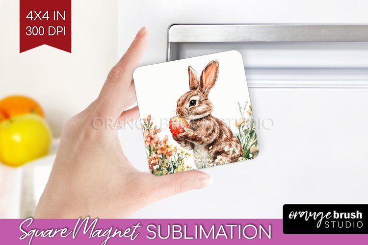 Rabbit Png Image 9