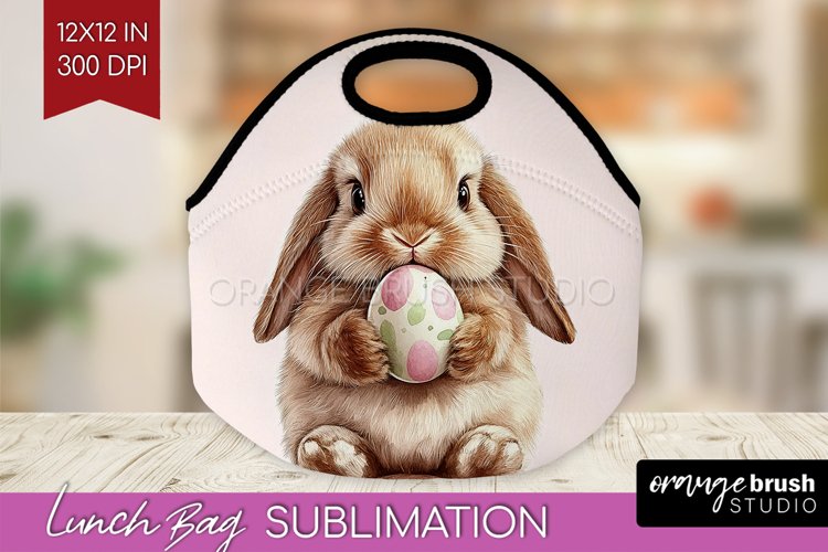 Rabbit Png Image 24