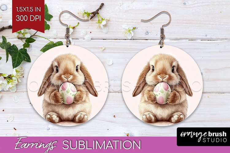 Rabbit Png Image 17
