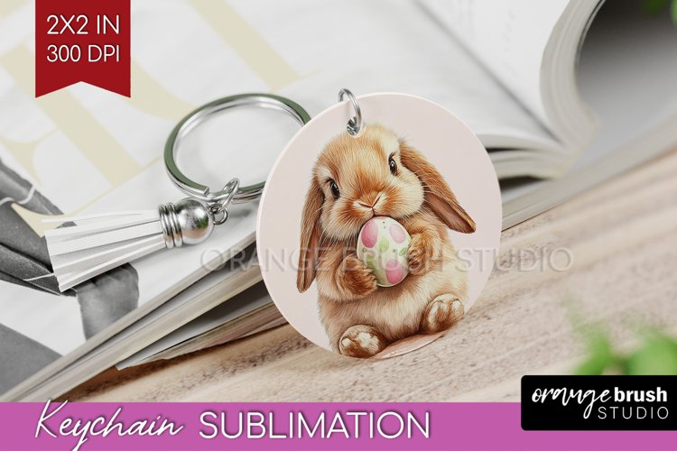 Rabbit Png Image 13