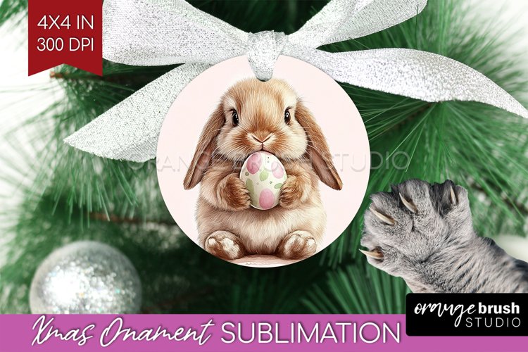 Rabbit Png Image 24