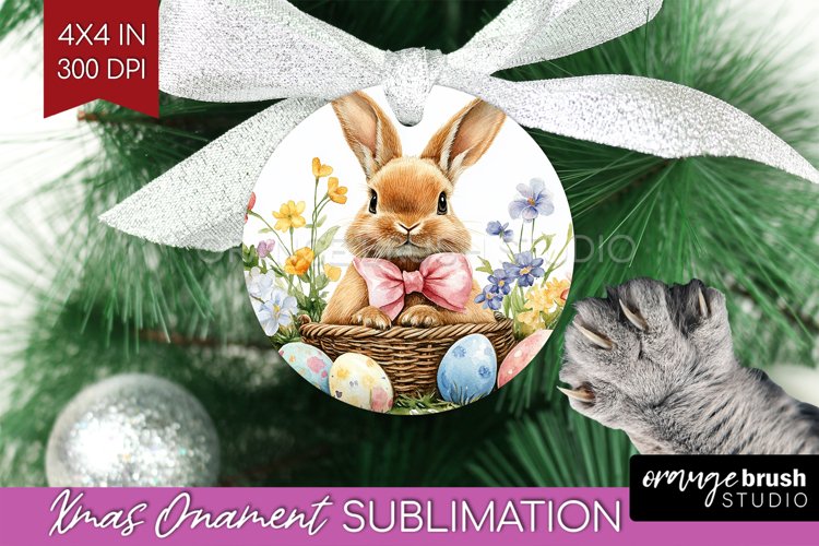 Rabbit Png Image 23