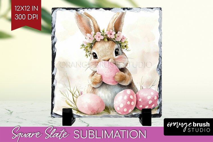 Rabbit Png Image 3