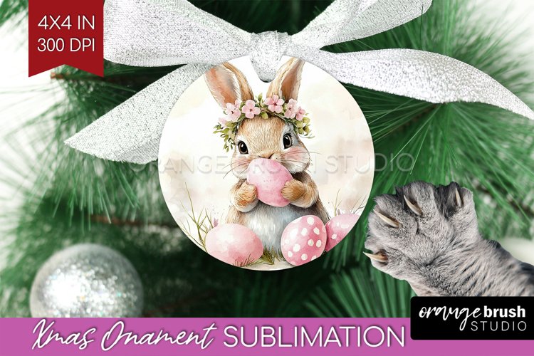 Rabbit Png Image 22