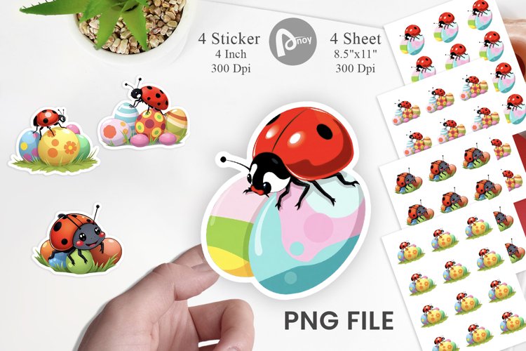 Ladybug Png Image 8