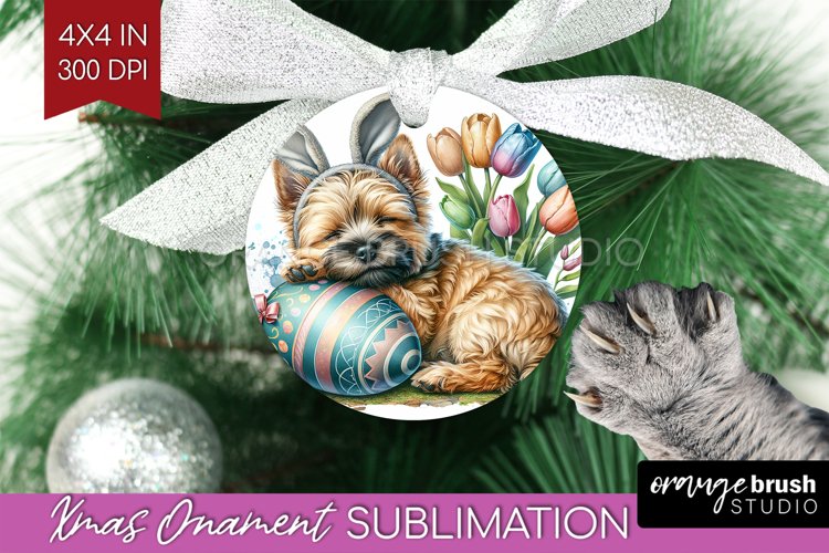 Puppy Png Image 19