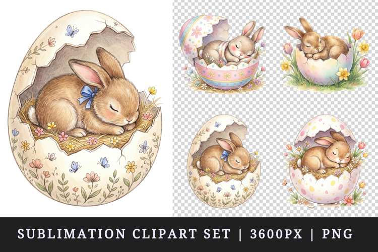 Easter Bunny Clipart Image 18