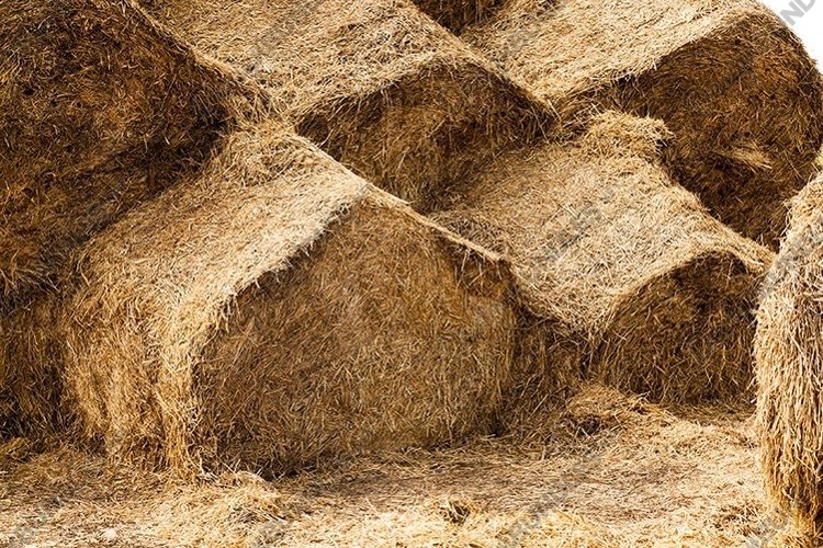 haystacks piled straw