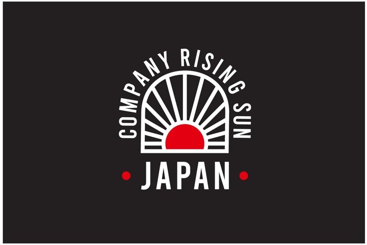 Sun Rays Vector Image 6