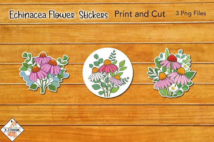 Echinacea Flower Stickers | Print and Cut