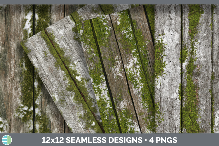 Moss Texture Image 17