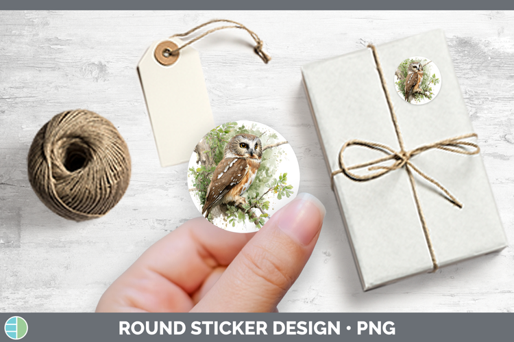 Northern Sawwhet Owl Owls Sketch Stickers Design