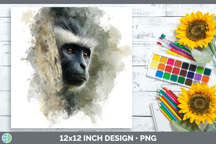 Colobus Monkey 01.png Primate Tree Peek-A-Boo Paper Backgrou