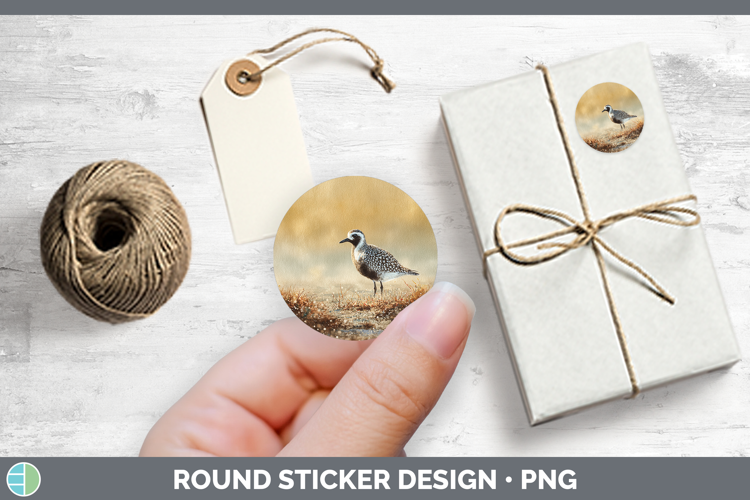 Blackbellied Plover Shorebirds Sunset Stickers Design