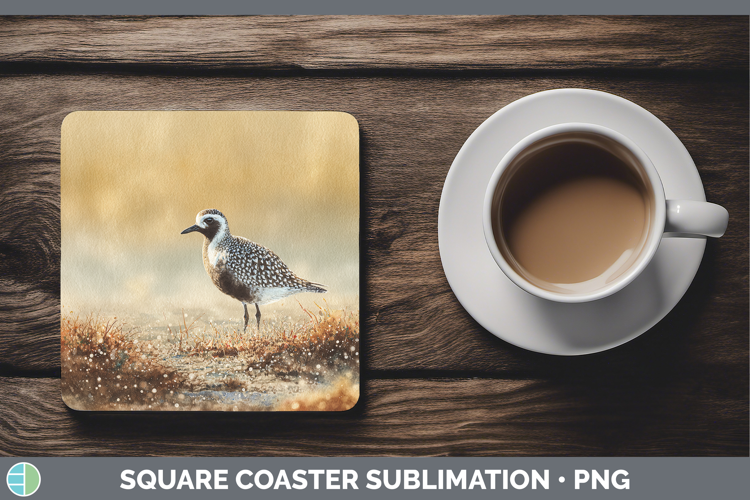 Blackbellied Plover Shorebirds Sunset Square Coaster Sublim