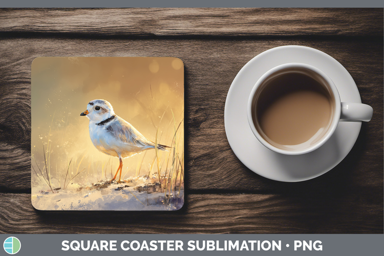 Piping Plover Shorebirds Sunset Square Coaster Sublimation D