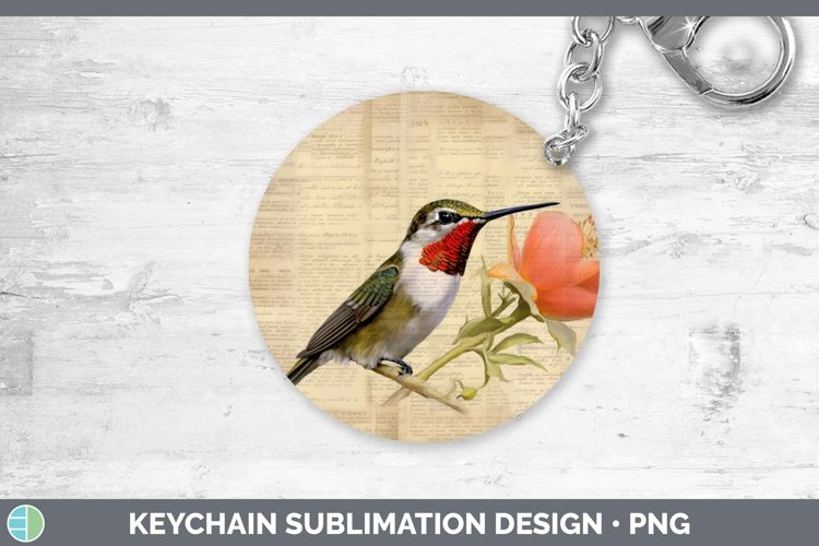 Hummingbird Clipart Image 23