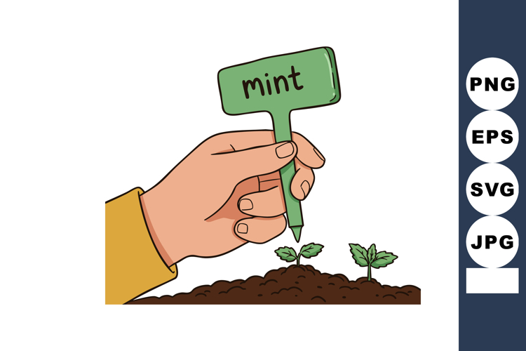 Mint Clipart Image 11