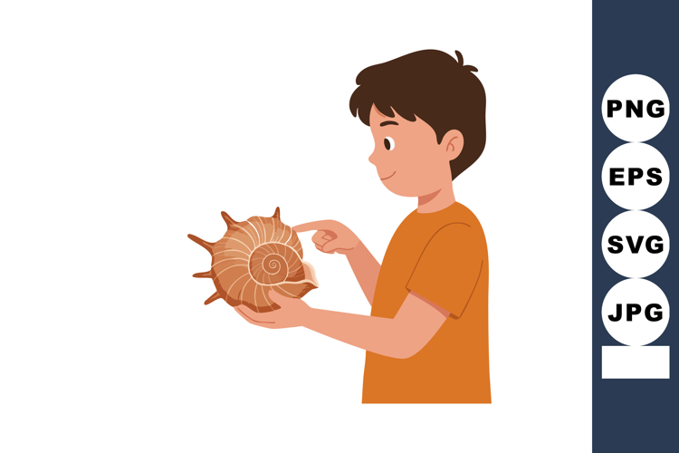Seashell Vector Image 14