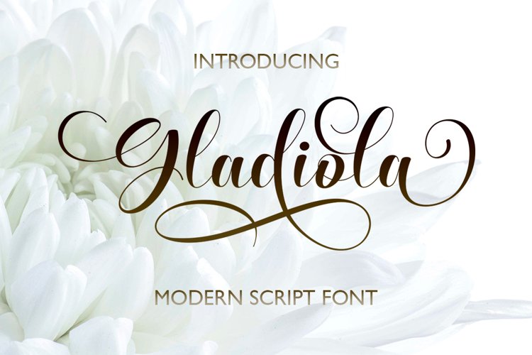Gladiola Script example image 1
