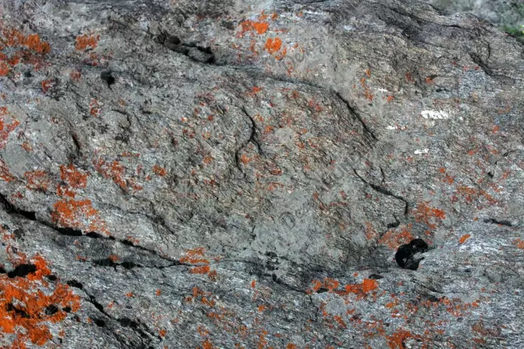 Closeup shot of a big stone
