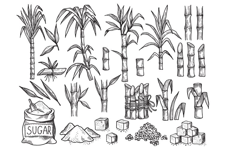 Rip Clipart Image 11