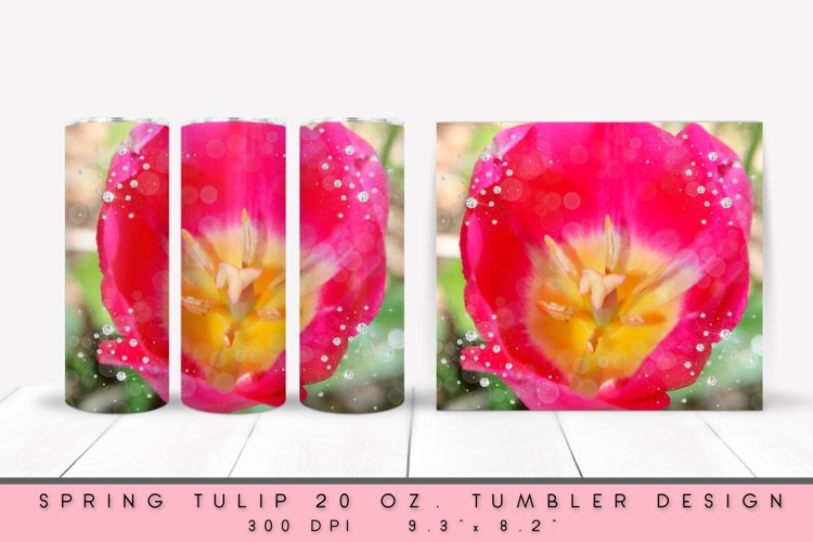 Spring Clipart Image 10
