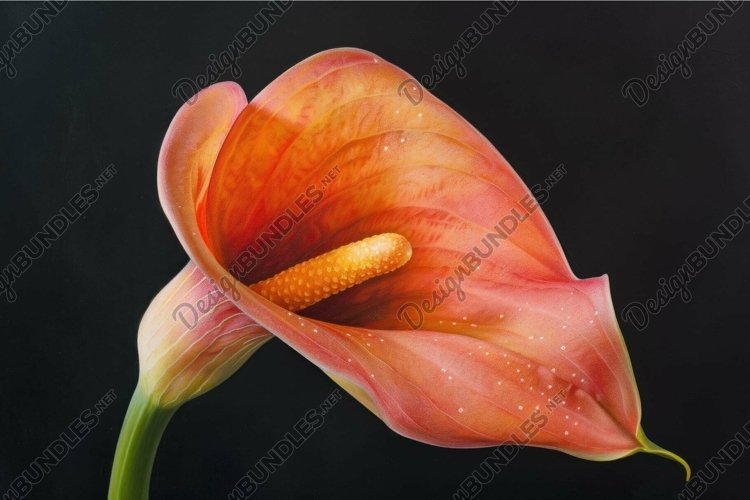 Orange Background Image 13