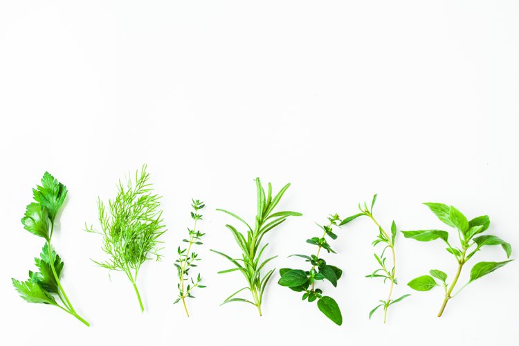 Greenery Background Image 10