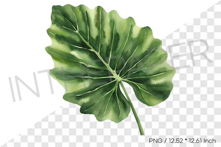 Giant Clipart Image 22